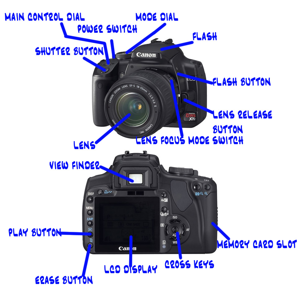Gamma Camera Labelled Diagram